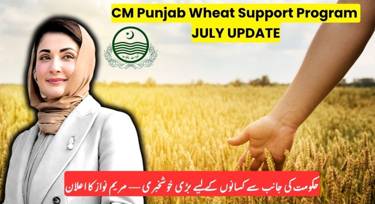 CM Punjab Wheat Support Program 2025 Who Can Apply, Benefits & Updated News