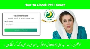 PMT Score Check | Complete Guide to BISP 8171 Rs.…